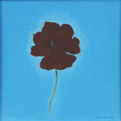 Cosmos
