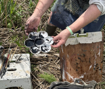 Kate Downie at Errol Reedbeds, 2026