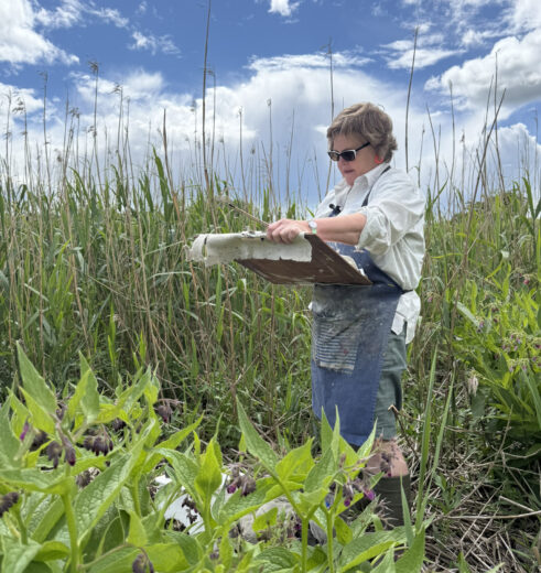 Kate Downie at Errol Reedbeds, 2026