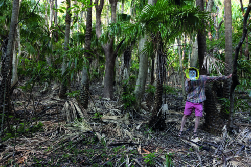 Stephen Bird in the rainforest Byron Bay