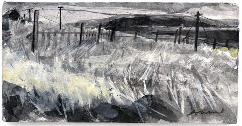Zig-zag Grass, from Yell to Unst