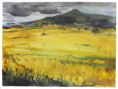 Waving Barley, Howe of Fife
