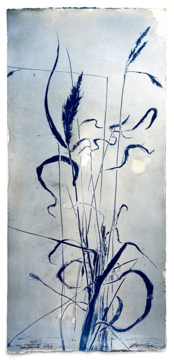 Sampler II