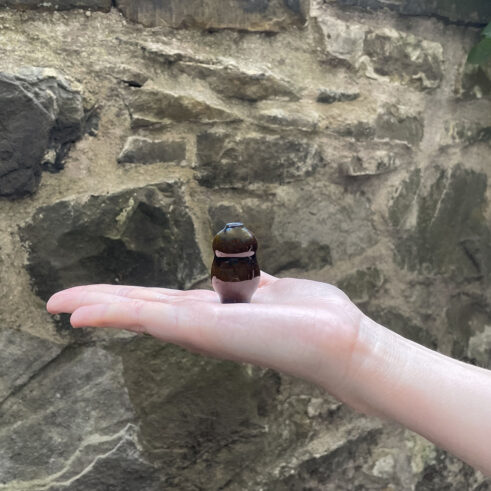 Miniature Pot – Medium