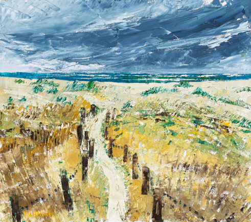 Pathway to Sumner Beach, N.Z.