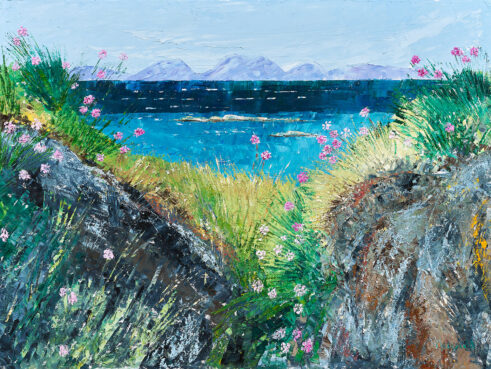 The Paps & Pinks from Seal Bay, Ronachan