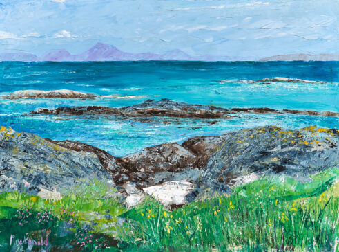 Seal on Seal Island, Kintyre