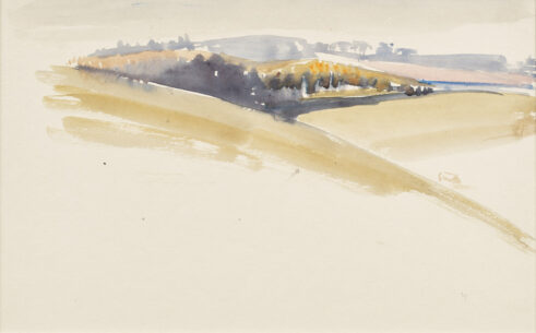 Border Landscape