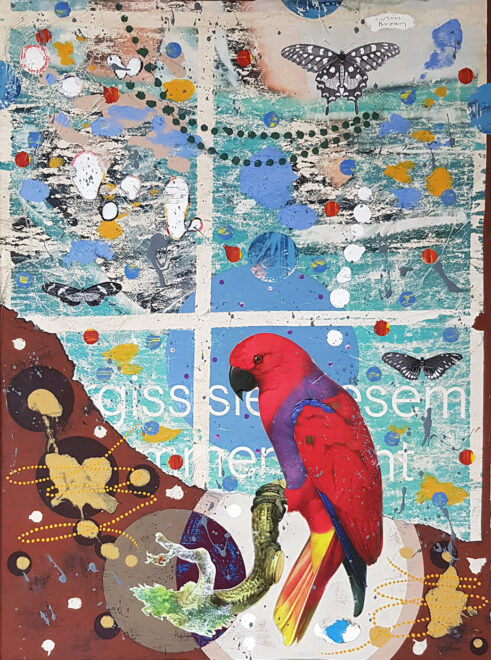 Red Parrot