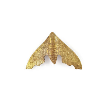 Bronze Lime Hawk Moth Brooch