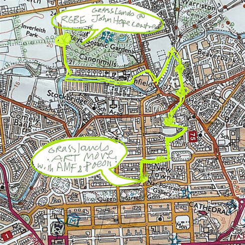 ArtMovesFife – Urban Grasslands