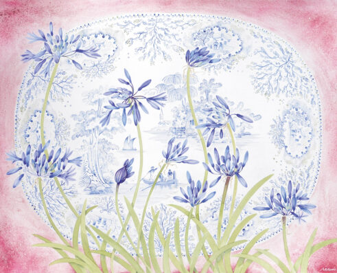 Agapanthus, Blue Platter