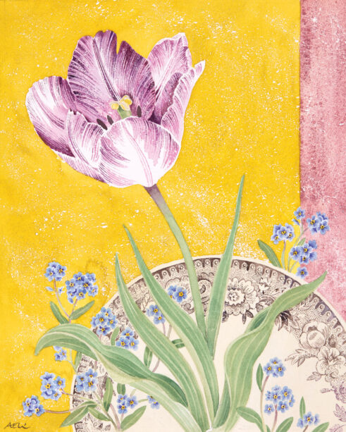 Tulip ‘Columbine’ with Forget-Me-Nots