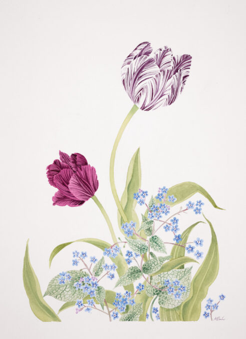 Tulips and Brunnera
