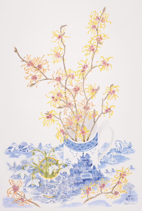 Witch Hazel and Chinese Landscape