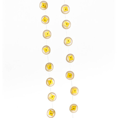 Button Necklace